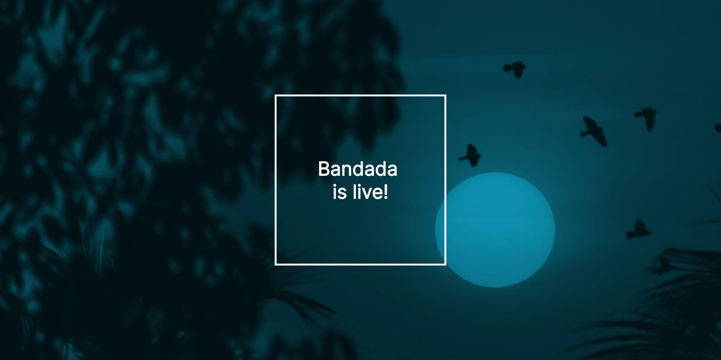 Bandada is live!