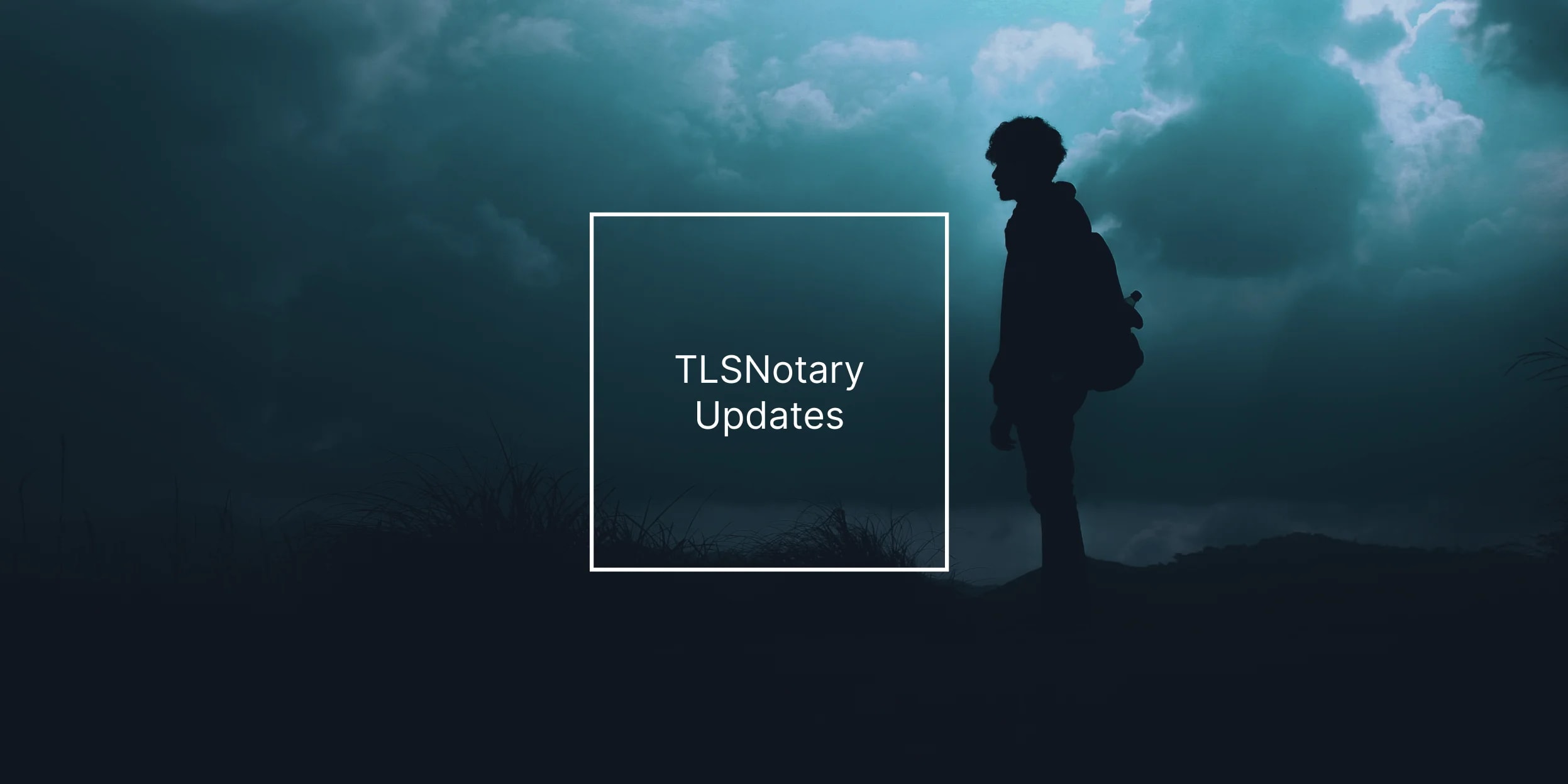 TLSNotary Updates